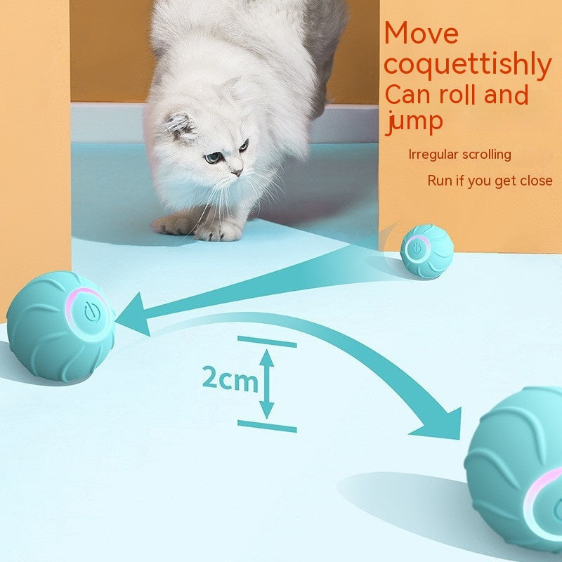 SmartToys Rolling Ball Pet - Niche Vista