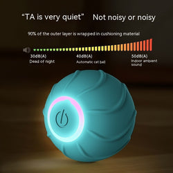 SmartToys Rolling Ball Pet - Niche Vista