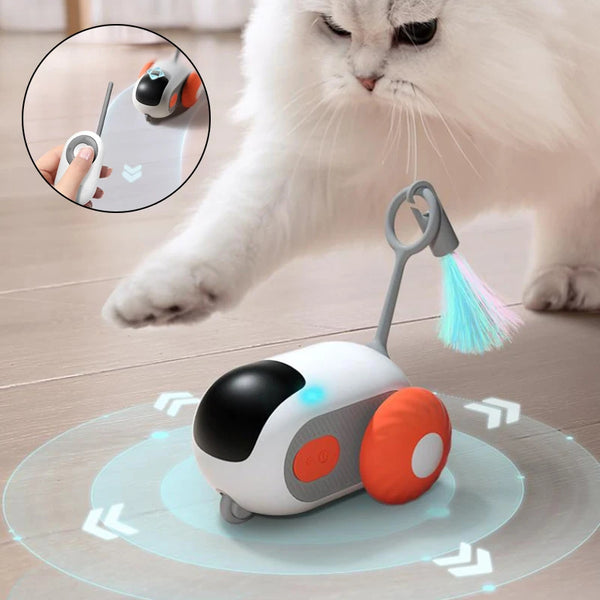 Remote Control Interactive Pet Car Toy - Niche Vista