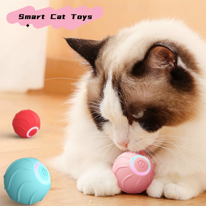 SmartToys Rolling Ball Pet - Niche Vista