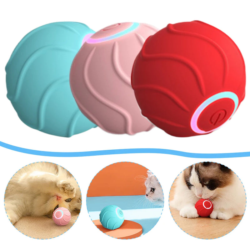 SmartToys Rolling Ball Pet - Niche Vista